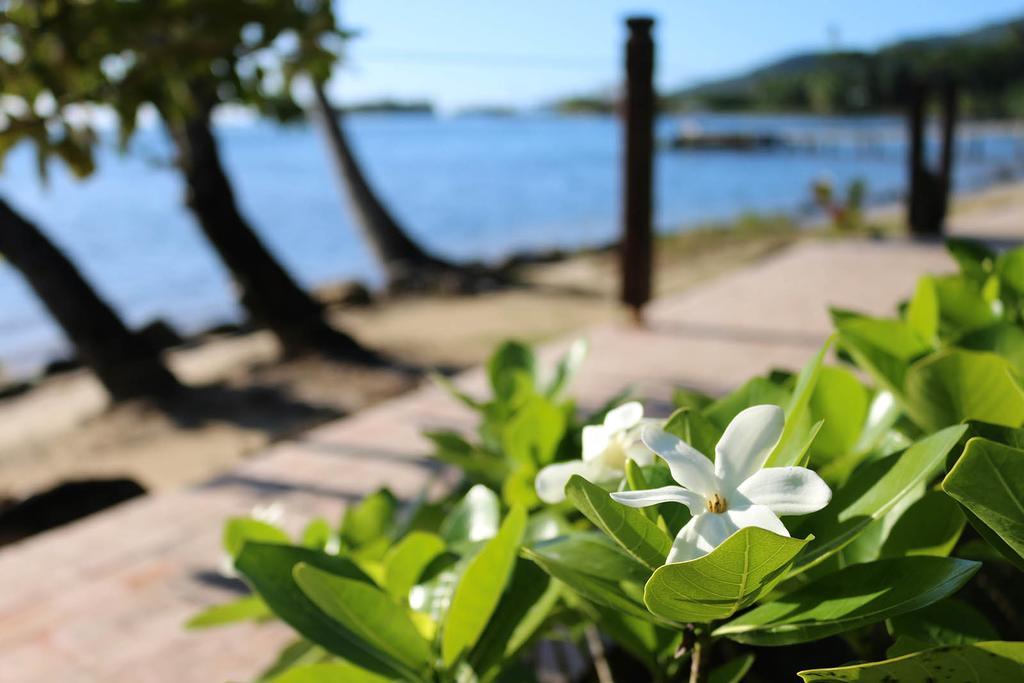 Fare Vai Nui Hotel Tevaitoa Bagian luar foto